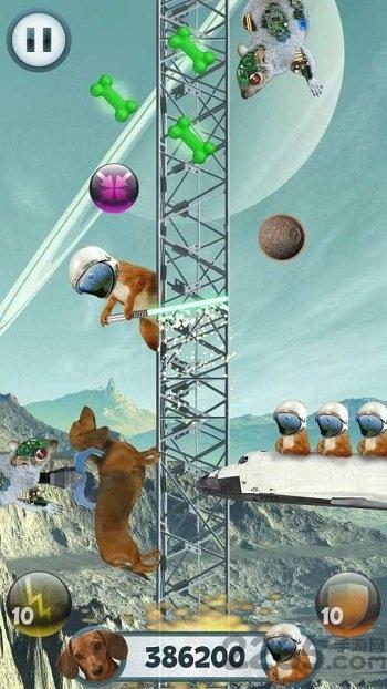 野蛮腊肠犬内购破解版下载,野蛮腊肠犬,宠物游戏,智力游戏